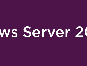 Lenovo Windows Server 2025 Licencja dostępu klienta (CAL) Licencja